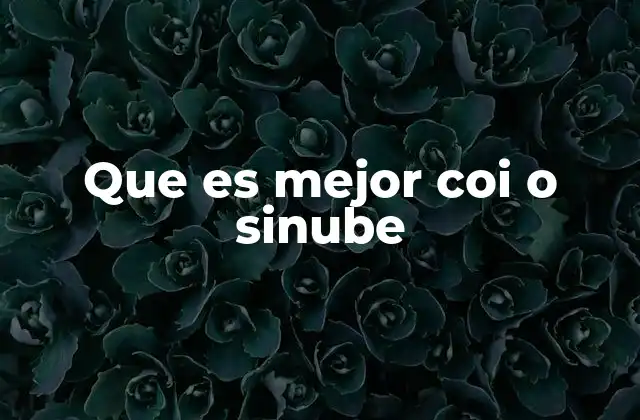 Que es Mejor Coi o Sinube
