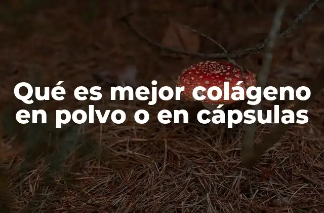 Qué es Mejor Colágeno en Polvo o en Cápsulas