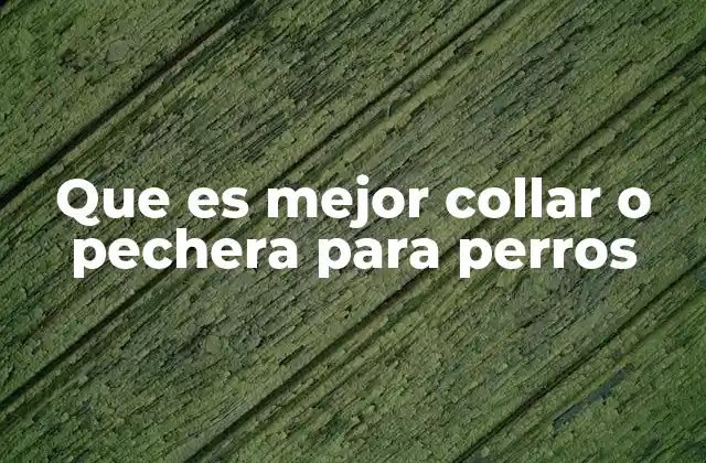 Que es Mejor Collar o Pechera para Perros