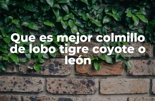 Que es Mejor Colmillo de Lobo Tigre Coyote o León