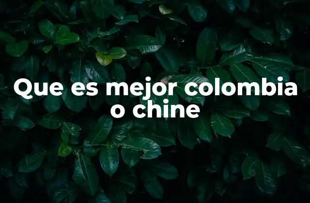 Que es Mejor Colombia o Chine