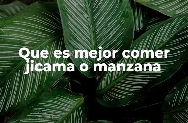 Que es Mejor Comer Jicama o Manzana