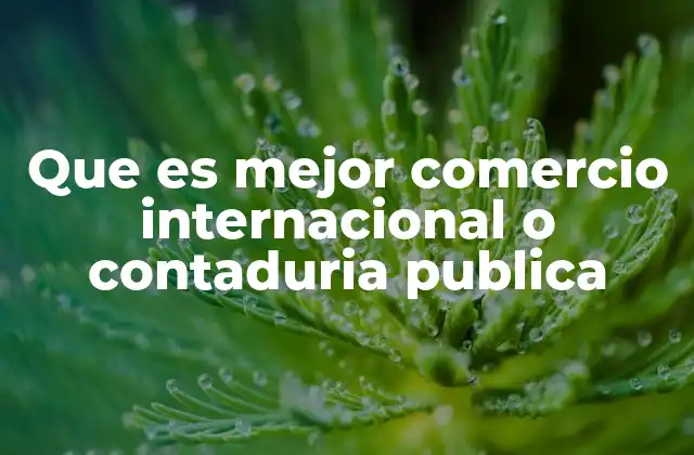 Que es Mejor Comercio Internacional o Contaduria Publica