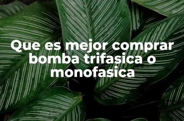 Que es Mejor Comprar Bomba Trifasica o Monofasica