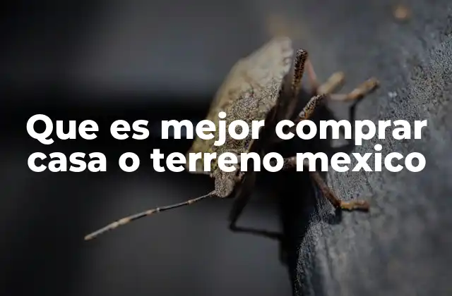 Que es Mejor Comprar Casa o Terreno Mexico