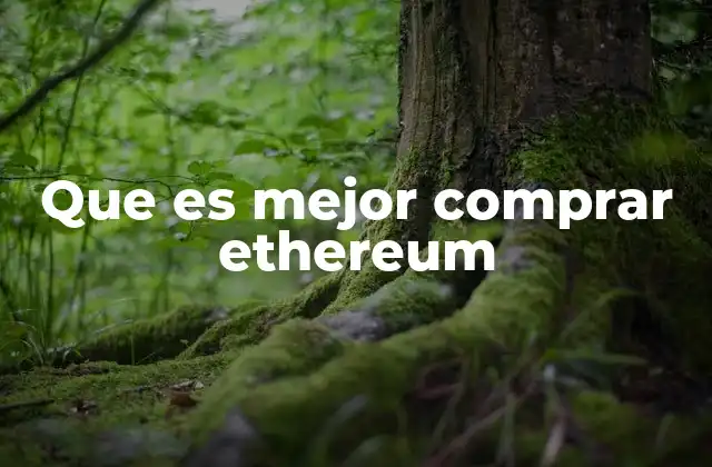 Que es Mejor Comprar Ethereum