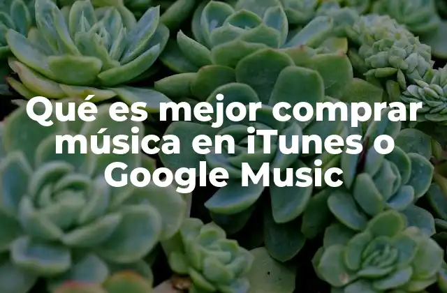 Qué es Mejor Comprar Música en Itunes o Google Music