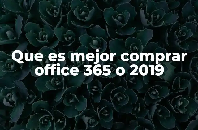 Que es Mejor Comprar Office 365 o 2019