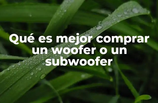 Qué es Mejor Comprar un Woofer o un Subwoofer