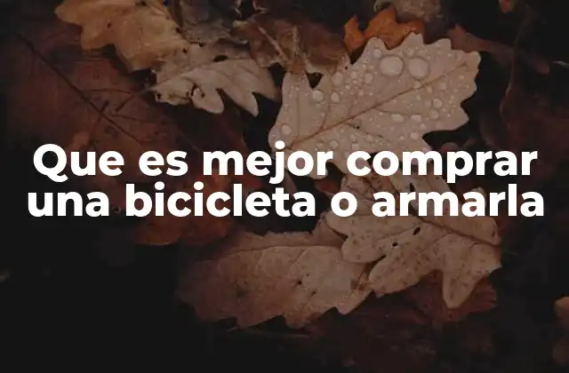 Comparativa entre adquirir una bicicleta y construirla