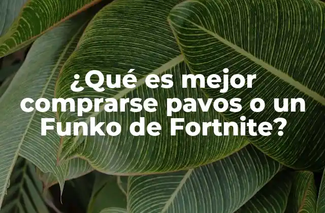 ¿qué es Mejor Comprarse Pavos o un Funko de Fortnite?