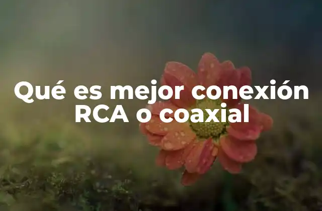 Qué es Mejor Conexión Rca o Coaxial