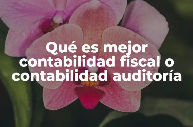 Qué es Mejor Contabilidad Fiscal o Contabilidad Auditoría