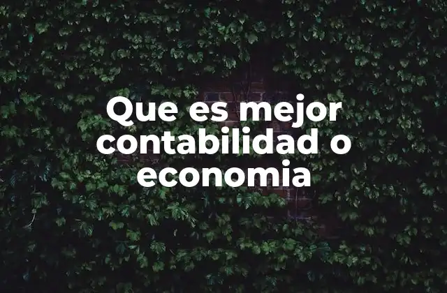 Que es Mejor Contabilidad o Economia