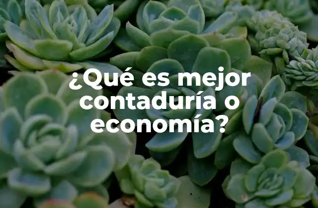 ¿qué es Mejor Contaduría o Economía?