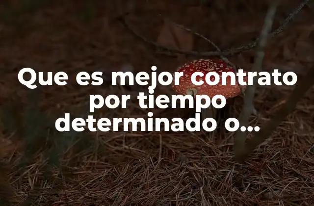 Que es Mejor Contrato por Tiempo Determinado o Indeterminado