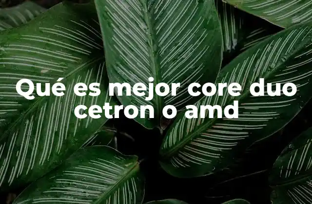 Qué es Mejor Core Duo Cetron o Amd