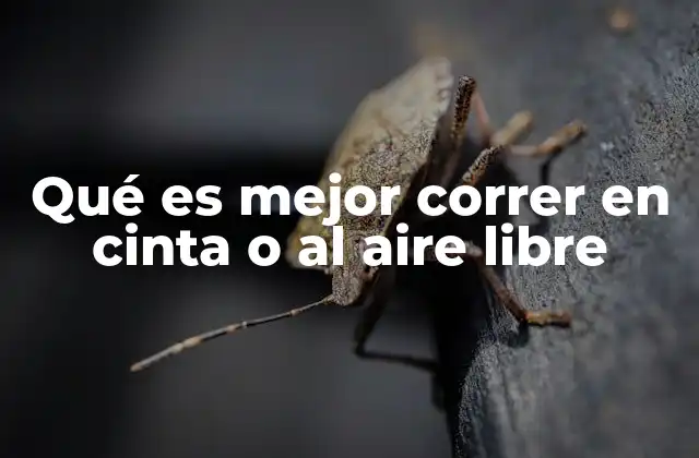 Ventajas y desventajas de correr en cinta vs. al aire libre