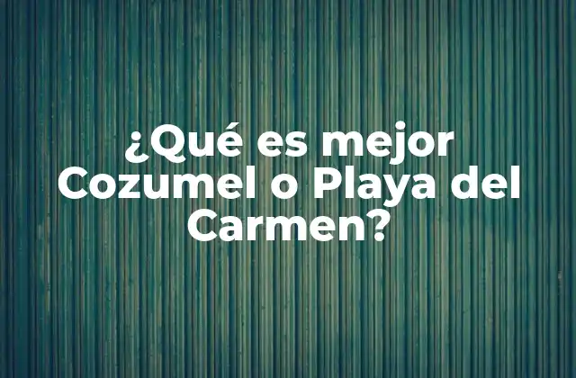 ¿qué es Mejor Cozumel o Playa Del Carmen?