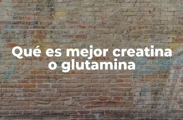 Qué es Mejor Creatina o Glutamina 2 Suplementos para el rendimiento y la recuperación