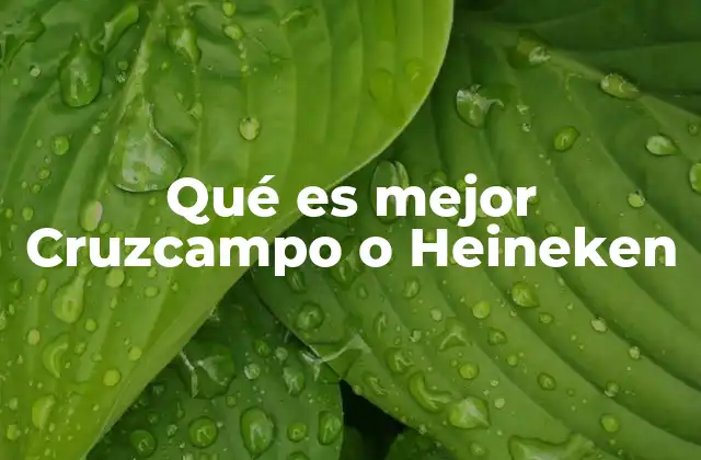 Qué es Mejor Cruzcampo o Heineken