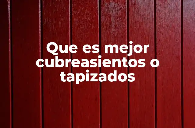 Que es Mejor Cubreasientos o Tapizados