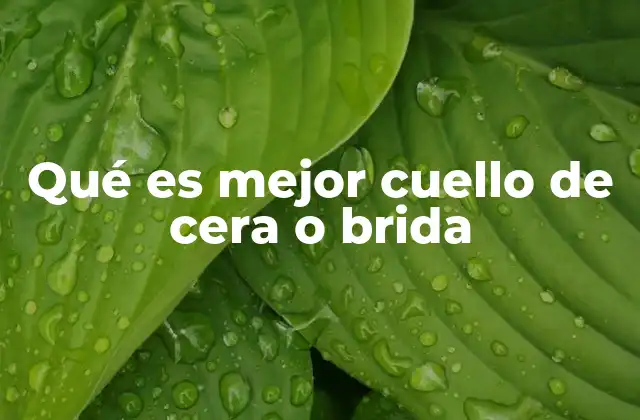 Qué es Mejor Cuello de Cera o Brida