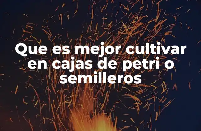 Que es Mejor Cultivar en Cajas de Petri o Semilleros
