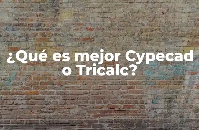¿qué es Mejor Cypecad o Tricalc?