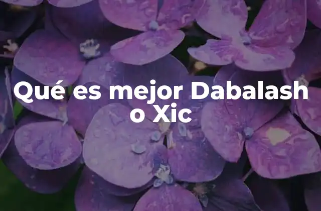 Qué es Mejor Dabalash o Xic