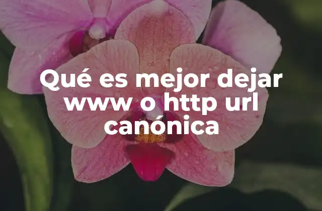 Qué es Mejor Dejar Www o Http Url Canónica