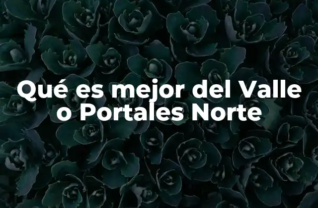 Qué es Mejor Del Valle o Portales Norte