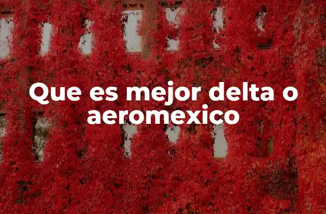 Que es Mejor Delta o Aeromexico