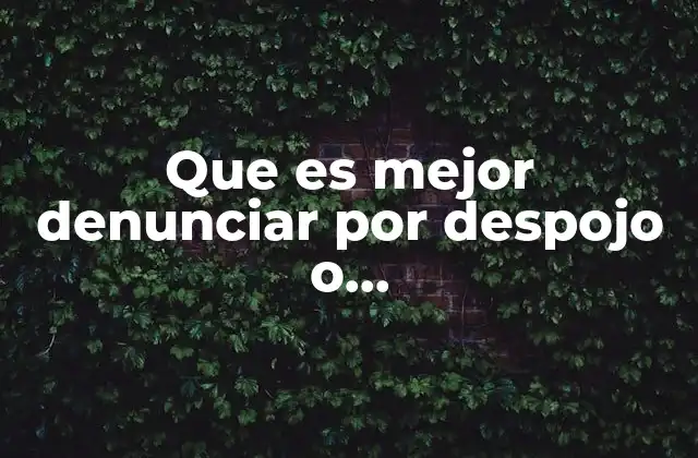 Que es Mejor Denunciar por Despojo o Demandsr.reivindicatorio