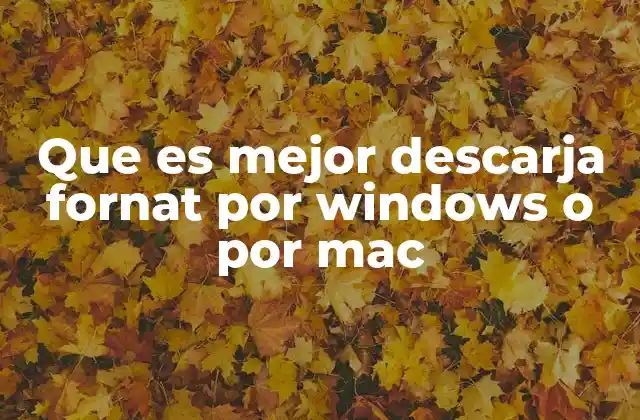 Que es Mejor Descarja Fornat por Windows o por Mac