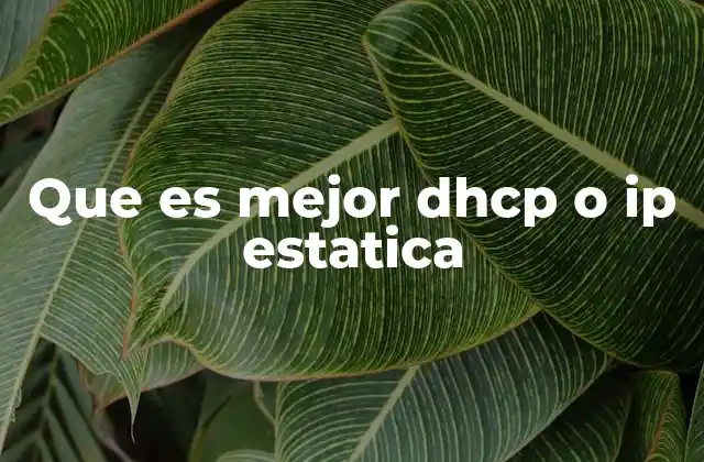 Que es Mejor Dhcp o Ip Estatica