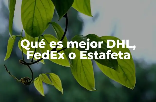 Qué es Mejor Dhl, Fedex o Estafeta