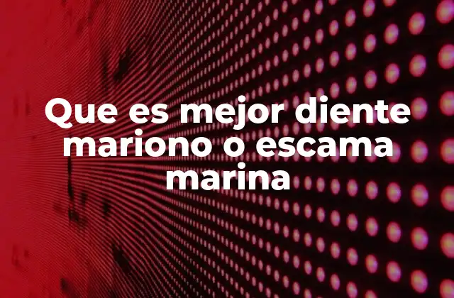 Diferencias entre ingredientes marinos y su uso en la salud