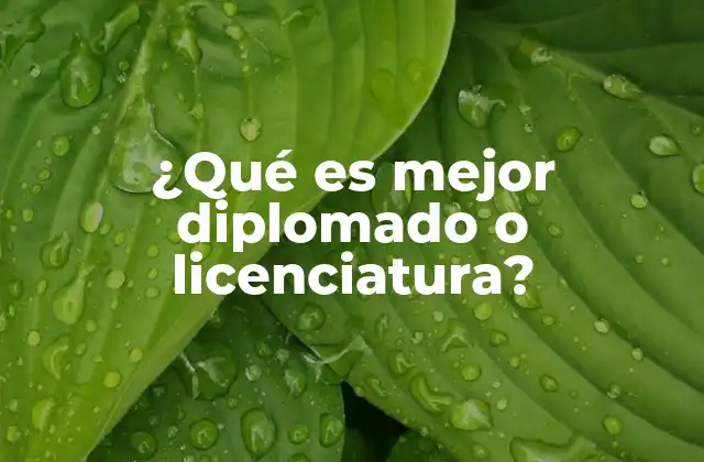 Cómo elige tu formación académica según tus metas profesionales