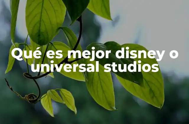 Qué es Mejor Disney o Universal Studios