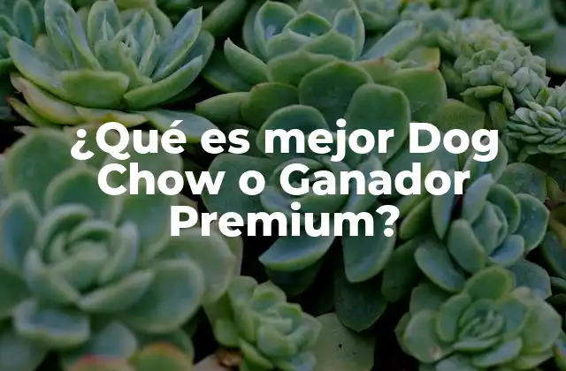 ¿qué es Mejor Dog Chow o Ganador Premium?