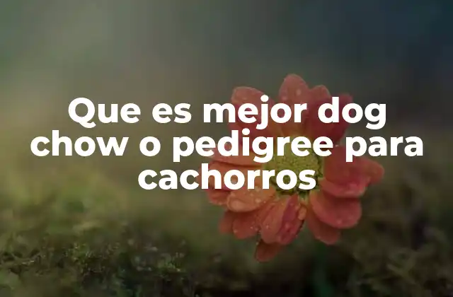 Que es Mejor Dog Chow o Pedigree para Cachorros