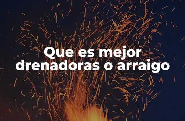 Que es Mejor Drenadoras o Arraigo
