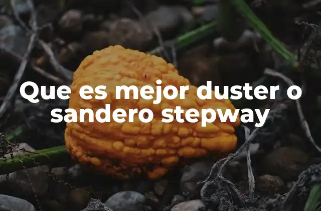 Que es Mejor Duster o Sandero Stepway