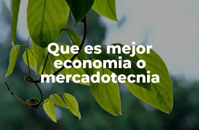 Que es Mejor Economia o Mercadotecnia