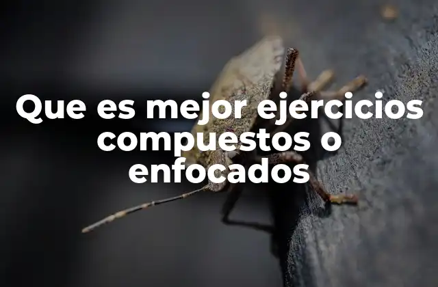 Que es Mejor Ejercicios Compuestos o Enfocados