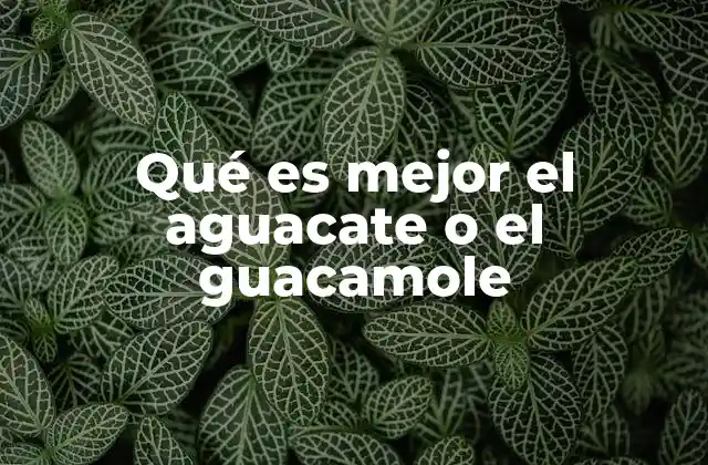 Qué es Mejor el Aguacate o el Guacamole 2 Diferencias nutricionales entre el aguacate y el guacamole