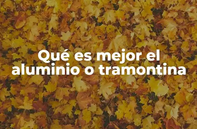 Qué es Mejor el Aluminio o Tramontina