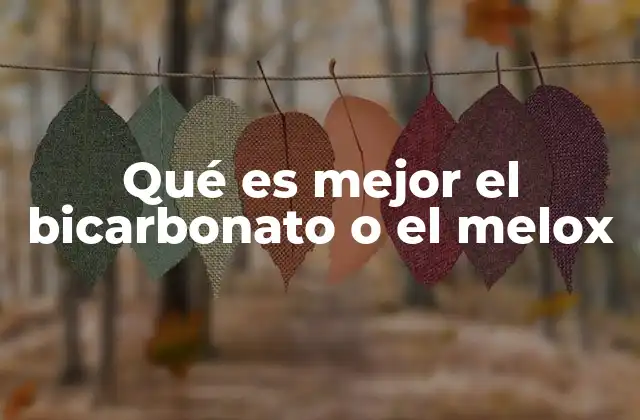 Qué es Mejor el Bicarbonato o el Melox