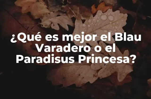 ¿qué es Mejor el Blau Varadero o el Paradisus Princesa?